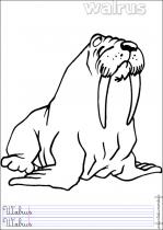 coloriage-morse-1